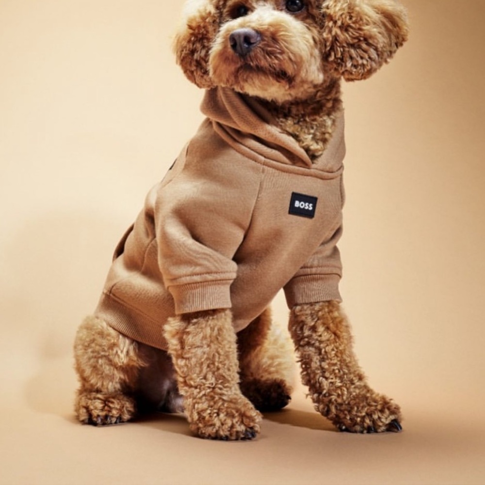 Hugo Boss Dog Hoodie